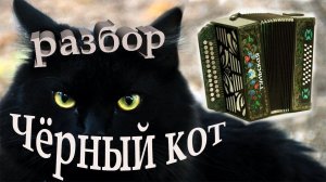 Разбор песни Черный кот