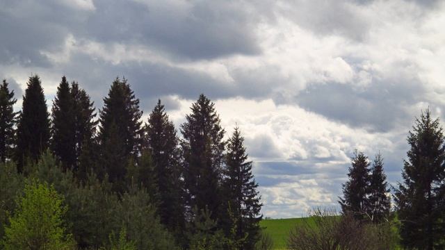 Вас просто здесь нет. Роберт Адамс. смотреть онлайн