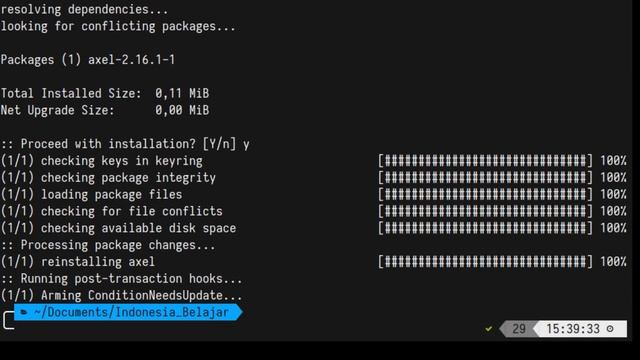 [CLI tool 02] Mengulas wget, pget, axel, dan aria2 (download manager) смотреть онлайн