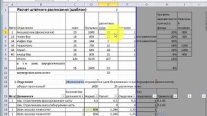 Видеокурс «Штатное расписание, тарификационные таблицы, бюджетная заявка по шаблонам MS Excel»