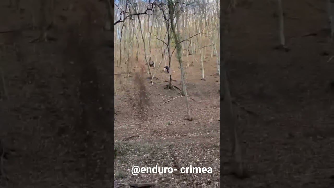 @enduro-crimea смотреть онлайн