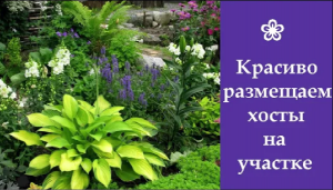 ❀ Красиво размещаем хосты на участке