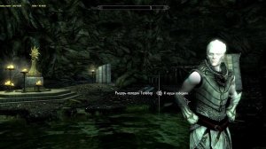 The Elder Scrolls V Skyrim