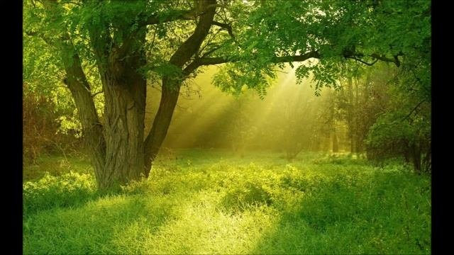 Расслабляющая музыка  - пение птиц, муз  инструменты, природа