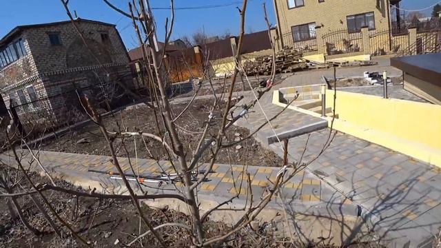 Как правильно обрезать жировики на груше для повышения урожая смотреть онлайн