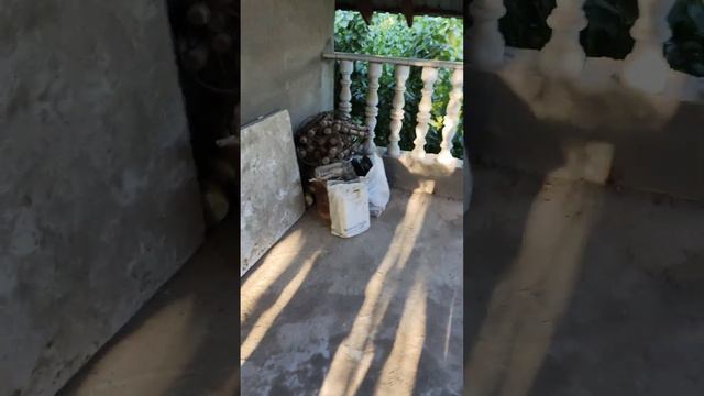 Сенокос на даче смотреть онлайн