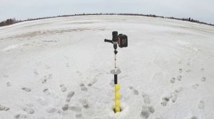 САМЫЙ РАБОЧИЙ МУРАВЕЙ ПОГИБ НА РЫБАЛКЕ! ОХОТА НА ОКУНЯ И ЩУКУ! ЛУЧШАЯ РЫБАЛКА В АПРЕЛЕ НА ЯМАЛЕ!