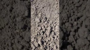 Как самостоятельно измерить кислотность pH земли!