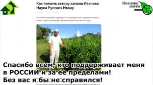 ТОМАТЫ БЫСТРО ПОКРАСНЕЮТ и ОСТАНУТСЯ ВКУСНЫМИ! Домашнее средство для ускорения созревания на кустах