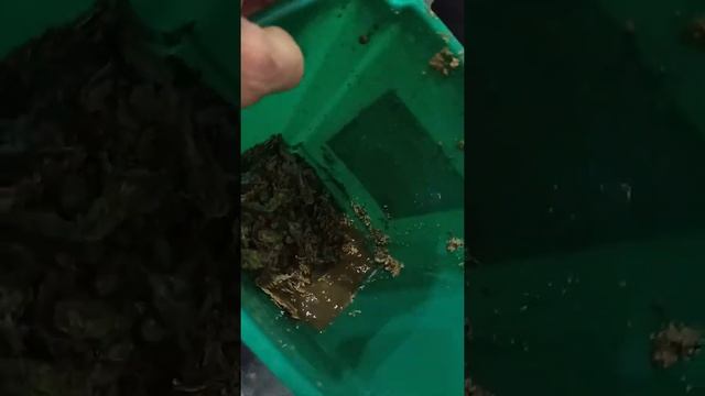 Чистим от накипи электрический водонагреватель с сухим ТЭНом смотреть онлайн