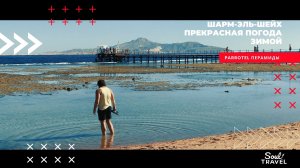 Шарм эль Шейх| Parrotel Beach Resort| Египет 2022| Egypt| Пирамиды| Каира| Путешествия по реке Нил|