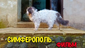 Симферополь - весь город в одном фильме! Как живёт столица Крыма сегодня?
