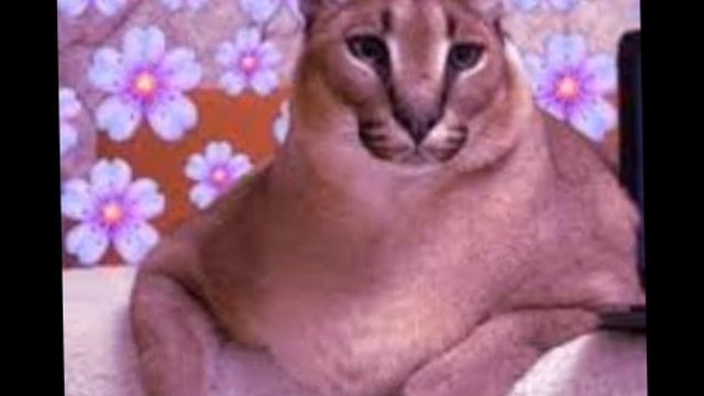 ШлЁпА