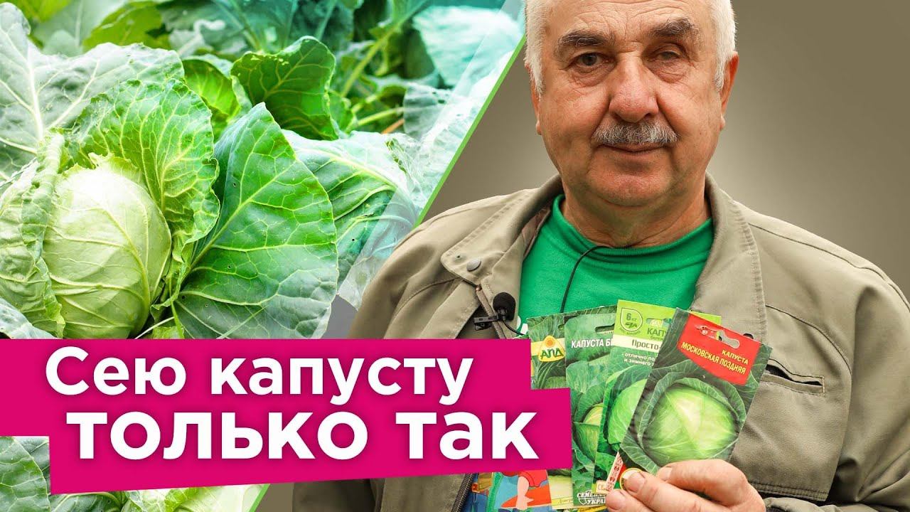 КОВАРНАЯ ОШИБКА ПРИ ПОСЕВЕ КАПУСТЫ! Важные нюансы при выращивании рассады капусты в апреле