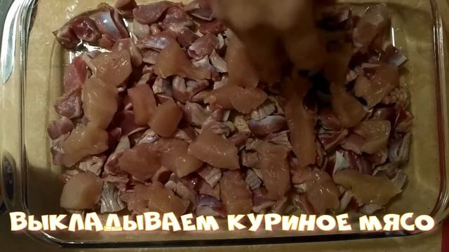 желудочки куриные