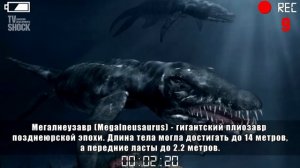 15 УЖАСАЮЩИХ ДОИСТОРИЧЕСКИХ МОРСКИХ ЧУДОВИЩ