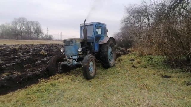 ТРАКТОР Т-40 АМ ПАШЕТ ЦЕЛИНУ 2ч. смотреть онлайн