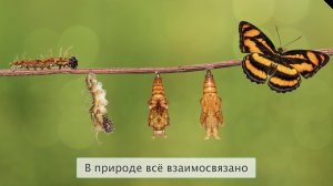 "Что такое экология", Окружающий мир 3 класс ч.1, с.8-9, Планета знаний