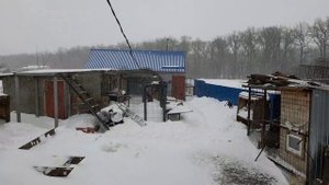 Нас замело. Тамбовская область 15.12.23.