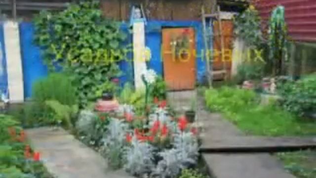 Видные усадьбы Горно-Алтайска, цветники города смотреть онлайн