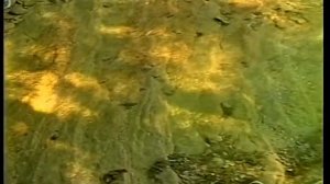 фильм Чаша Бога. режиссёр: Олег Рудюк