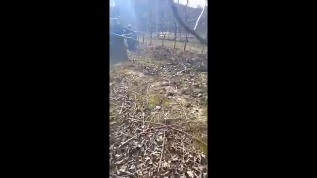 Измельчитель веток в Крыму.mp4 смотреть онлайн