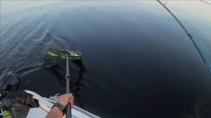 Ловля судака на ладоге в Волховской губе. Июнь 2019 1 выход на воду в этом сезоне