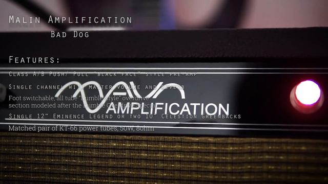 Malin Amplification - "Bad Dog" смотреть онлайн