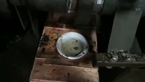 Амарант. Отжим масла из амаранта.