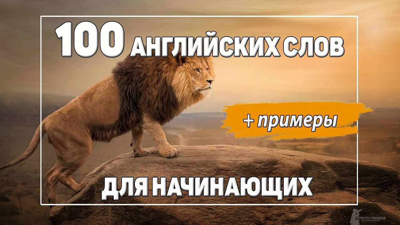 100 самых нужных английских слов для начинающих с примерами. Существительные.