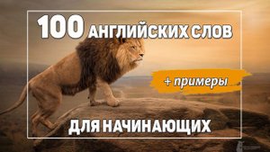 100 самых нужных английских слов для начинающих с примерами. Существительные.