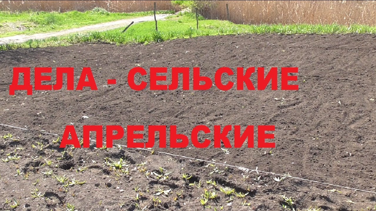 Дела сельские