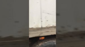 Обзор ford cargo
