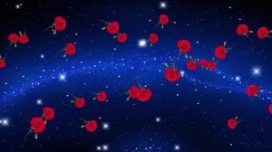 Красные розы на синем фоне. Красивый футаж для монтажа