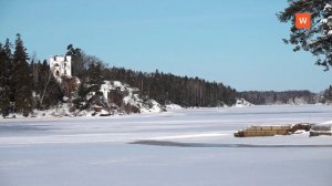 Видеозарисовка «Монрепо. Четыре сезона»