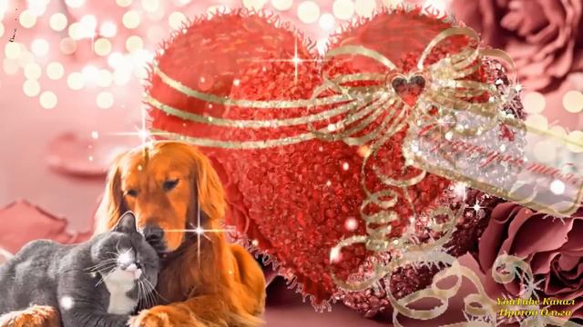 💞САМОЕ КРАСИВОЕ ПОЗДРАВЛЕНИЕ С ДНЕМ СВЯТОГО ВАЛЕНТИНА, С ДНЕМ ВСЕХ ВЛЮБЛЕННЫХ, С 14 ФЕВРАЛЯ❤️
