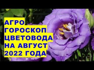 Агрогороскоп цветовода на август 2022 года