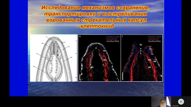 Кафедра зоологии беспозвоночных