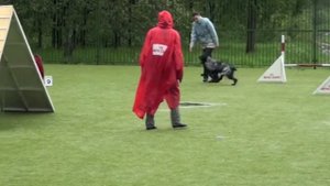 Чемпионат СПб по аджилити, 02.06.2012 г., Городская Собака V47