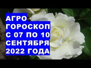 Агрогороскоп с 07 по 10 сентября 2022 года