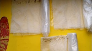 как посадить петунию в улитку