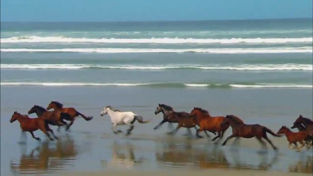 Первое расширенное заседание Совета по предпринимательству при Президенте Республики Татарстан смотреть онлайн