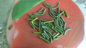 Яичница с чесночными стрелками и помидорами