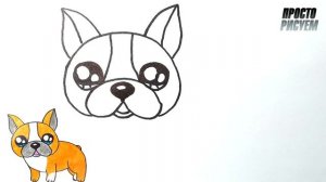 Как нарисовать БУЛЬДОГА просто