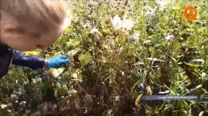 ОТРК Русь Повилика ликвидация очагов 24 09 2021