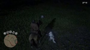 Red Dead Redemption 2 - Flippin' Wolves