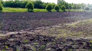 Полив помпой бензиновой огород. Небольшой обзор.