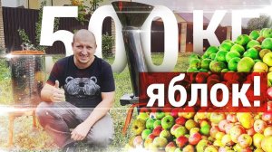 Самогон из яблок или белый кальвадос.