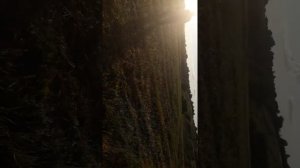 Белгородская область Старооскольский р-н с. Роговатое Неодыкват!!!