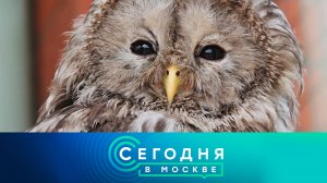 «Сегодня в Москве»: 27 января 2023 года